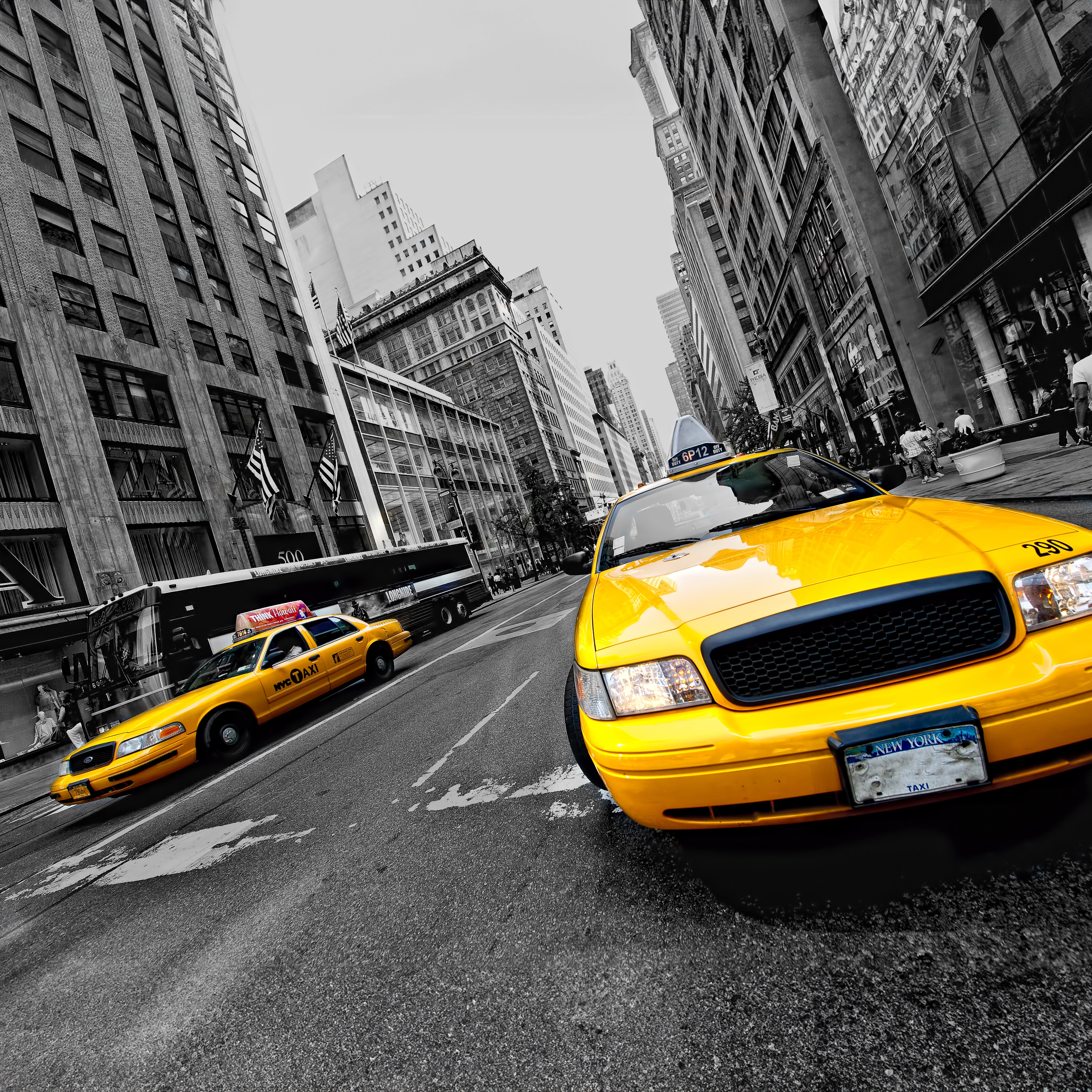 Picture of bookinggorides